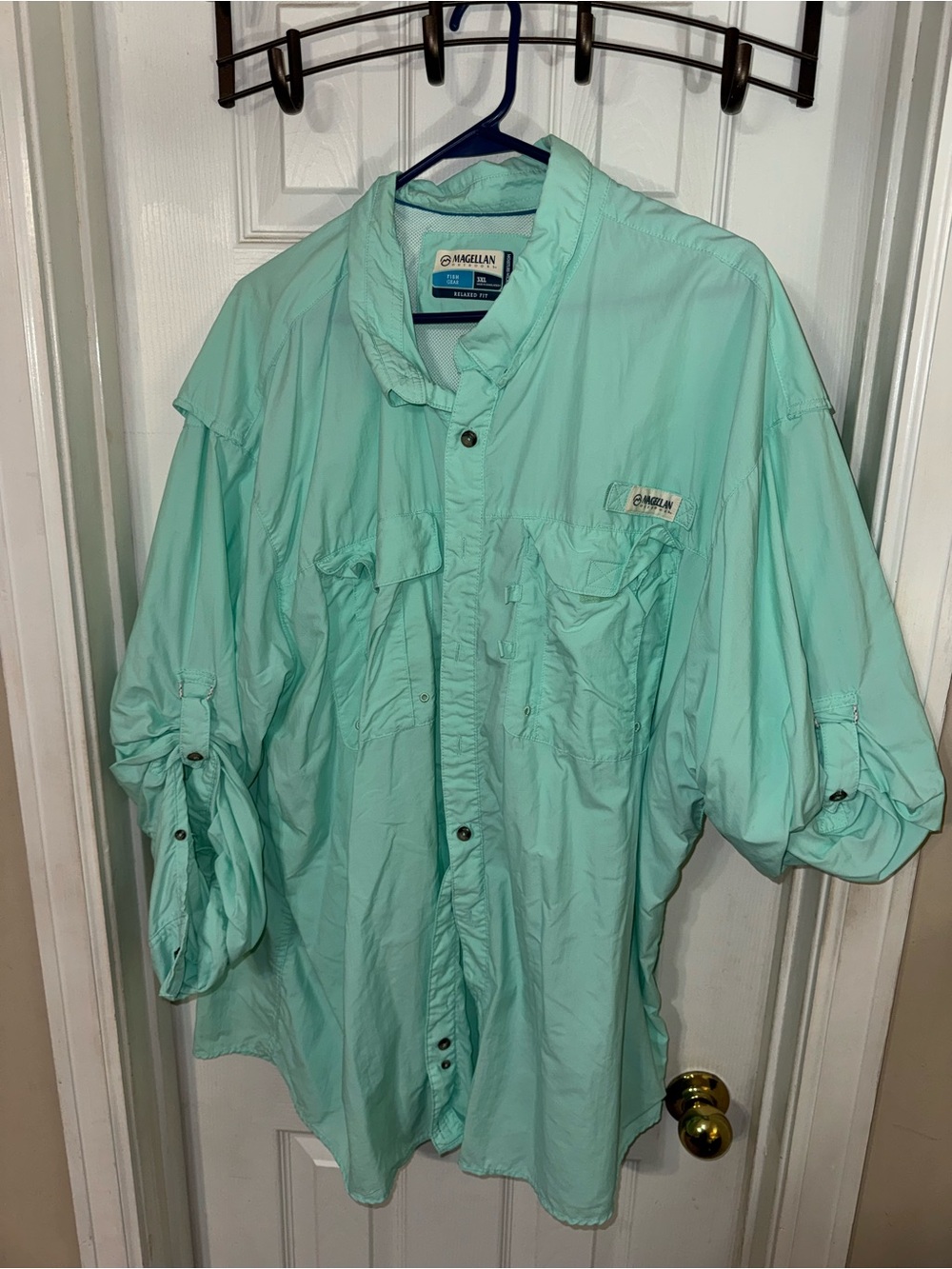 Magellan Outdoors Men's Button-Down Shirt in Mint